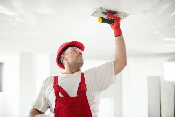 Best Touch-Up Painting  in South Roxana, IL